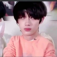 Đinh Trình Hâm
