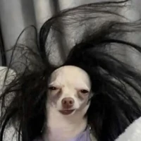 Tg ỉa nhanh💔😞