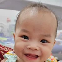 tác giả 