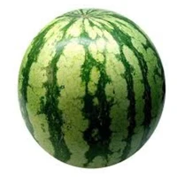 water melon 