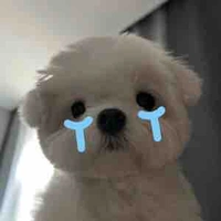 tgia khổ nhất tg 😭