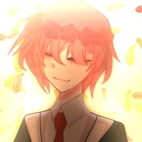 TT Hiha