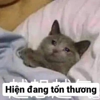 9A1-thích tám chuyện-