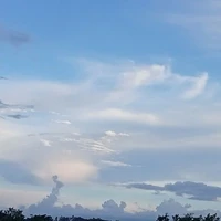 NV phụ