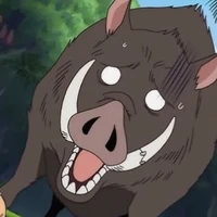 Con heo tội nghiệp