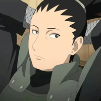 Shikamaru Nara _ NT