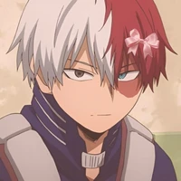 shoto todoroki