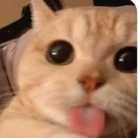 T/g