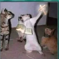 t/g- tổng tài thanh tẩy mắt đ/g