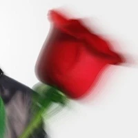 All