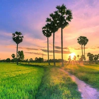 Tiến Minh -Lớp trưởng-