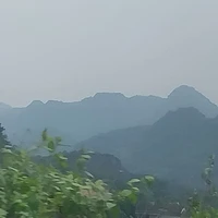 Tác giả