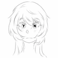 F.Y/N