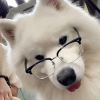 Tác Giả