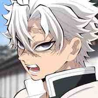 Shinazugawa Sanemi