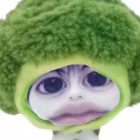 Qii 🧚