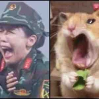 Nhỏ tg 
