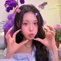 Han Sara