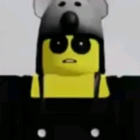 Koala kid