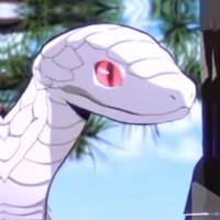 Kaburamaru 🐍.