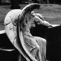 -𝐖𝐞𝐞𝐩𝐢𝐧𝐠 𝐚𝐧𝐠𝐞𝐥-