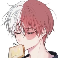 Todoroki Shoto