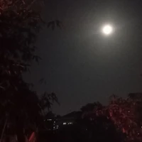 cân mọi thứ 