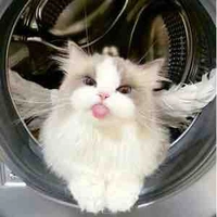 Suka 🧝🏻‍♀️