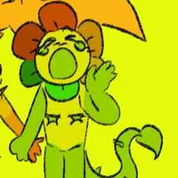 Dandicus Dancifer/Dandy 