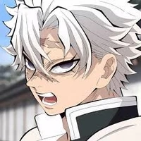 Shinazugawa Sanemi (Anh sẹo)