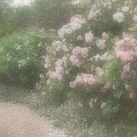 tất cả (-ai thì -)