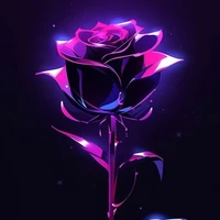 t/g(hire)