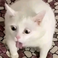 Nhỏ tg nàk