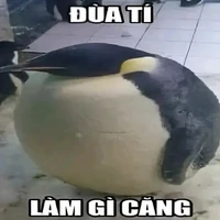tg bụng phệ