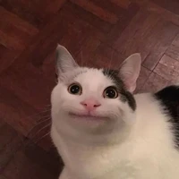 t/g