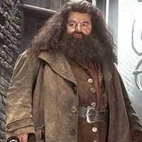 Rubeus hagrid