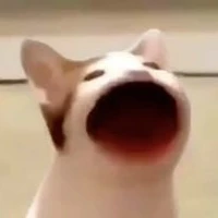 Tác giả