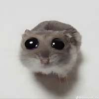 T/g và Đ/g