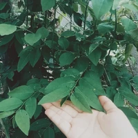 t/g 🍦🌷🍫❤️