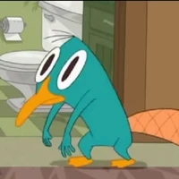 Cáo