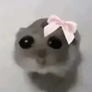 all bot