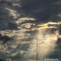 all