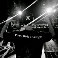 Phạm Đình Thái Ngân