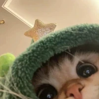 Chamamh[Bff của t/g]