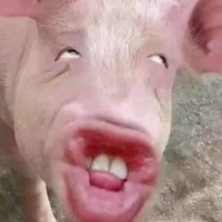 Minh Anh[Nhỏ này bót không biết]