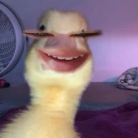 T/g đẹp gái cute phô mai que số 1 tới