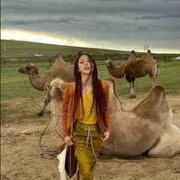 Phí Quỳnh Anh- Quỳnh Anh Shyn