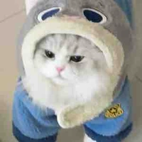 DiuDiu