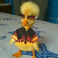 Hệ thống - Zịt