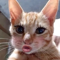 All[ Trừ ai thì trừ ]
